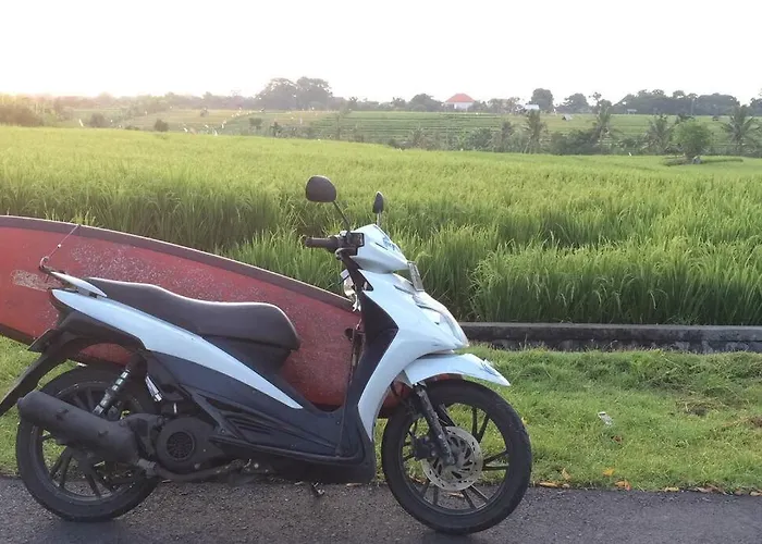 Canggu Serenity Accommodatie bij particulieren Denpasa