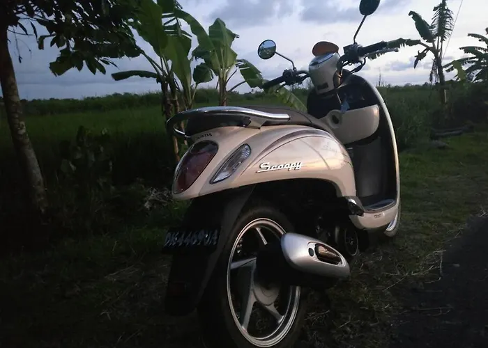 Canggu Serenity Accommodatie bij particulieren